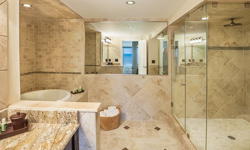 Binswanger Glass Frameless Shower