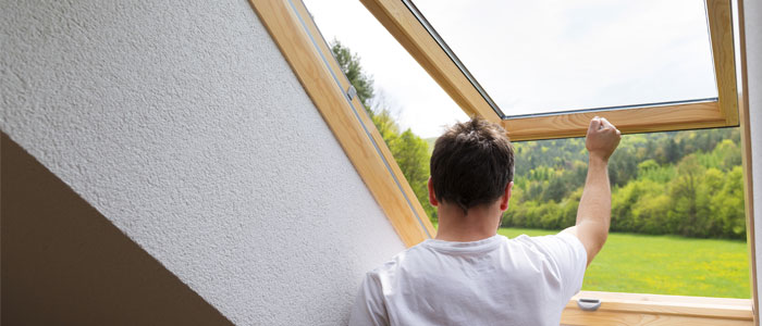 Binswanger Glass - Skylights