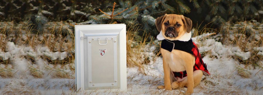 In-Glass Pet Doors