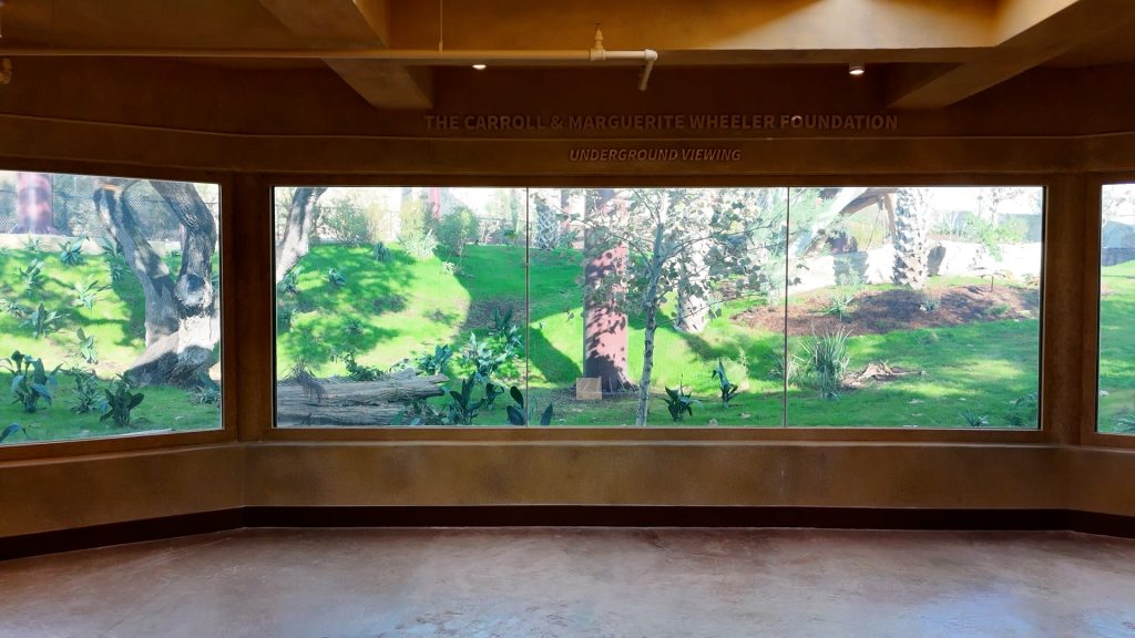 San Antonio Zoo Congo Falls Gorilla Attraction (1)