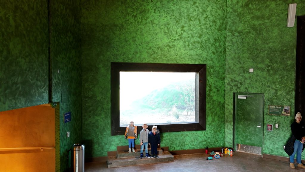 San Antonio Zoo Congo Falls Gorilla Attraction