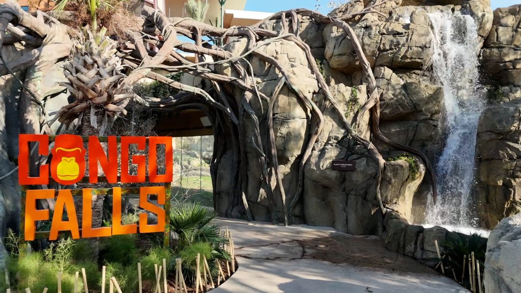 San Antonio Zoo Congo Falls Gorilla Attraction