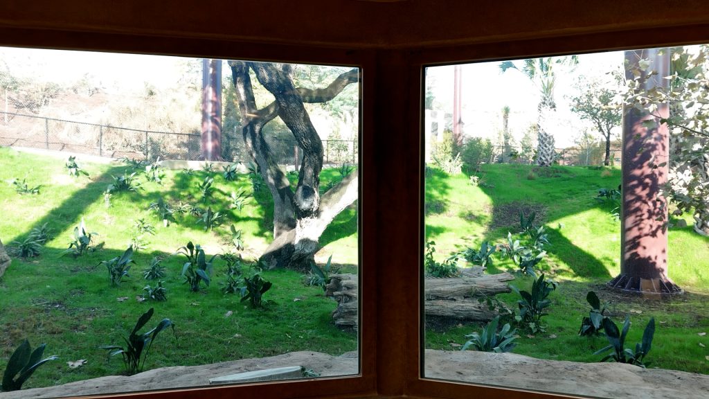 San Antonio Zoo Congo Falls Gorilla Attraction