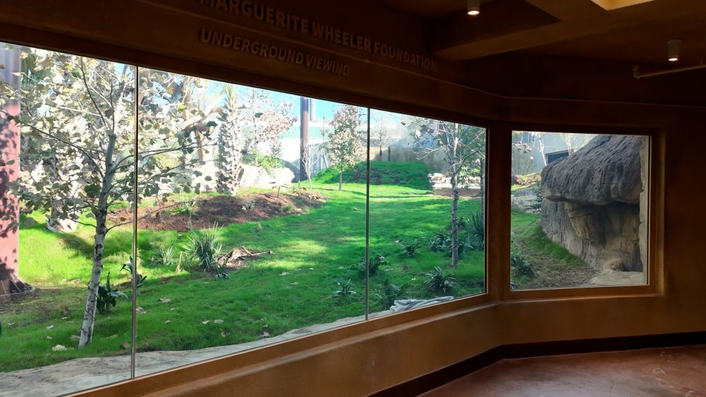 San Antonio Zoo Congo Falls Gorilla Attraction