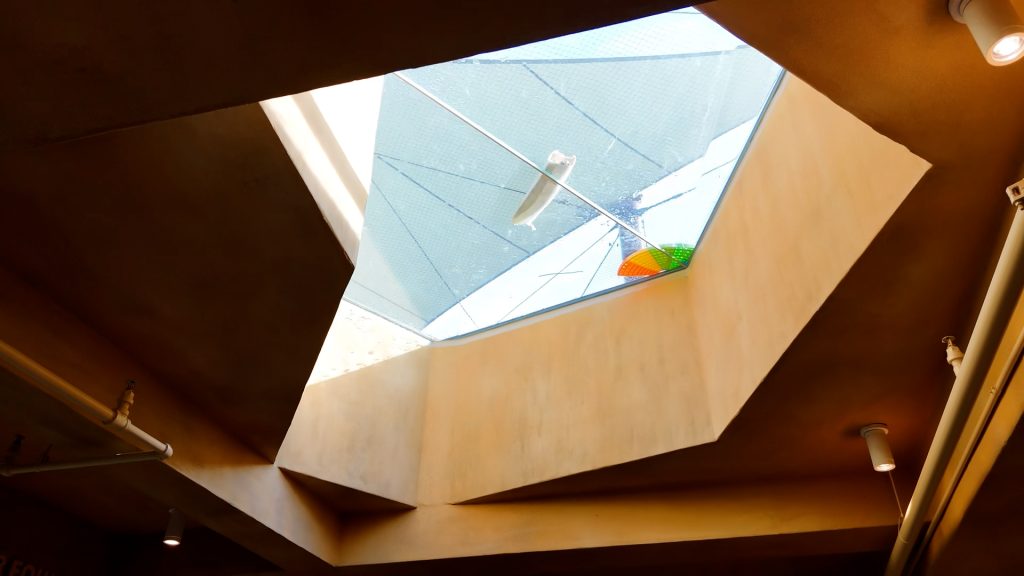 San Antonio Zoo Congo Falls Gorilla Attraction