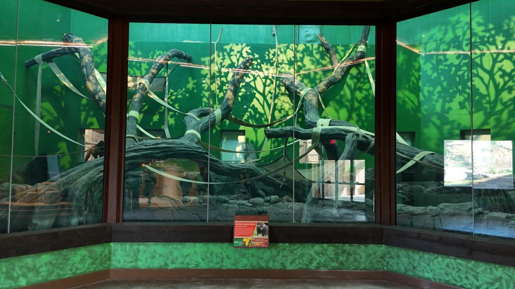 San Antonio Zoo Congo Falls Gorilla Attraction San Antonio Zoo Congo Falls Gorilla Attraction