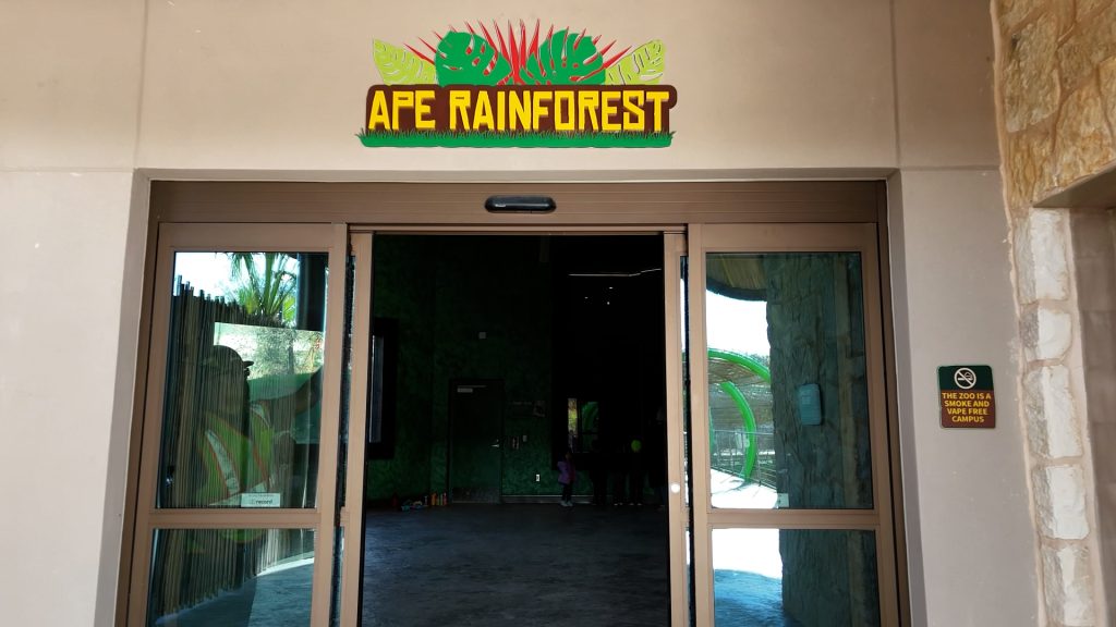 San Antonio Zoo Congo Falls Gorilla Attraction